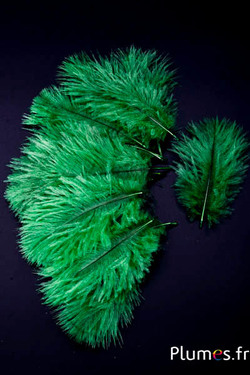 Struzzo Bellies - 8-13 cm - verde muschio